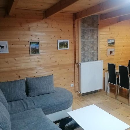 Zlatibor Brvnara Mir Villa ภายนอก รูปภาพ